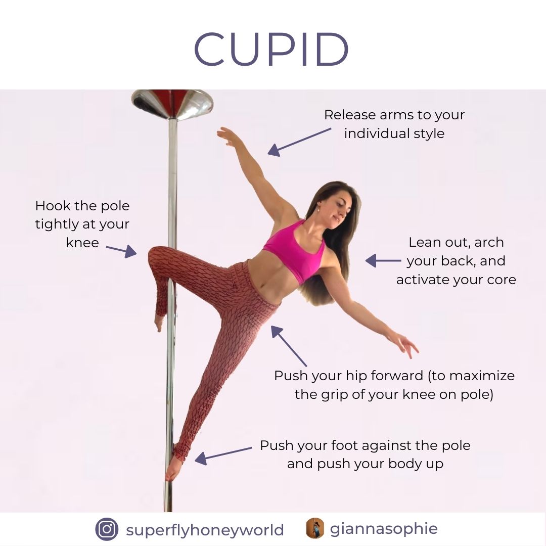 Grips and Holds - The Complete Guide for Pole Dancers: Part One