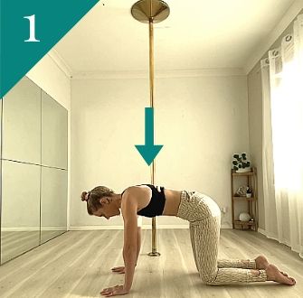 Pole Fitness Exercise: Scapular Push Ups