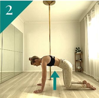 Pole Fitness Exercise: Scapular Push Ups